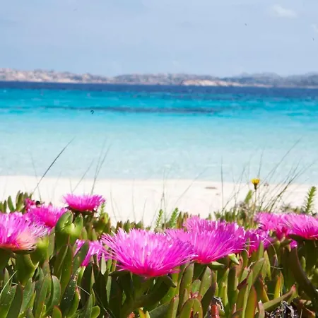 Daire Bilancia Iv 30' Porto Cervo, Private Garden & Sea View *