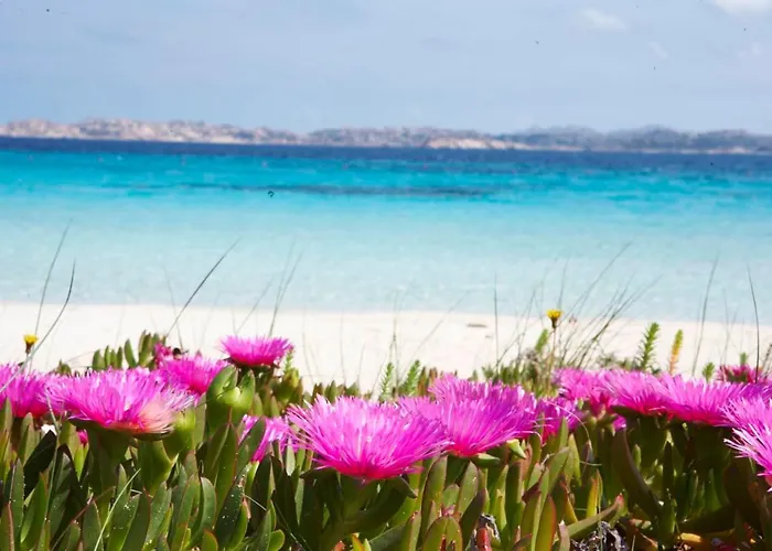 Apartman Bilancia Iv 30' Porto Cervo, Private Garden & Sea View *